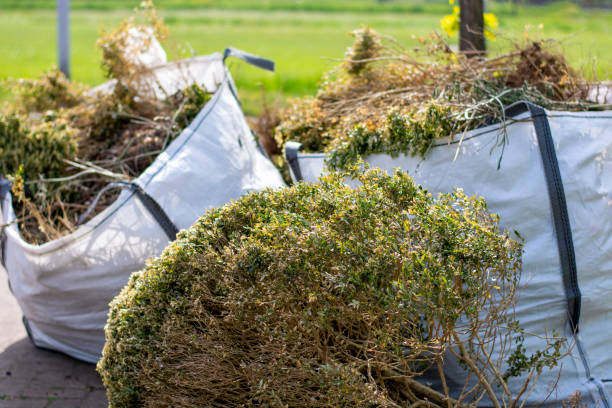 Best Same-Day Junk Removal  in Coraopolis, PA